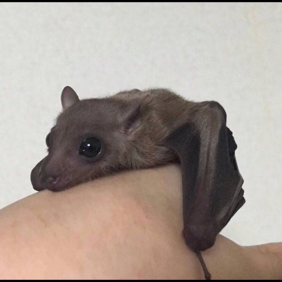 Meet your Posher, Aaron - Picture 1 of 1